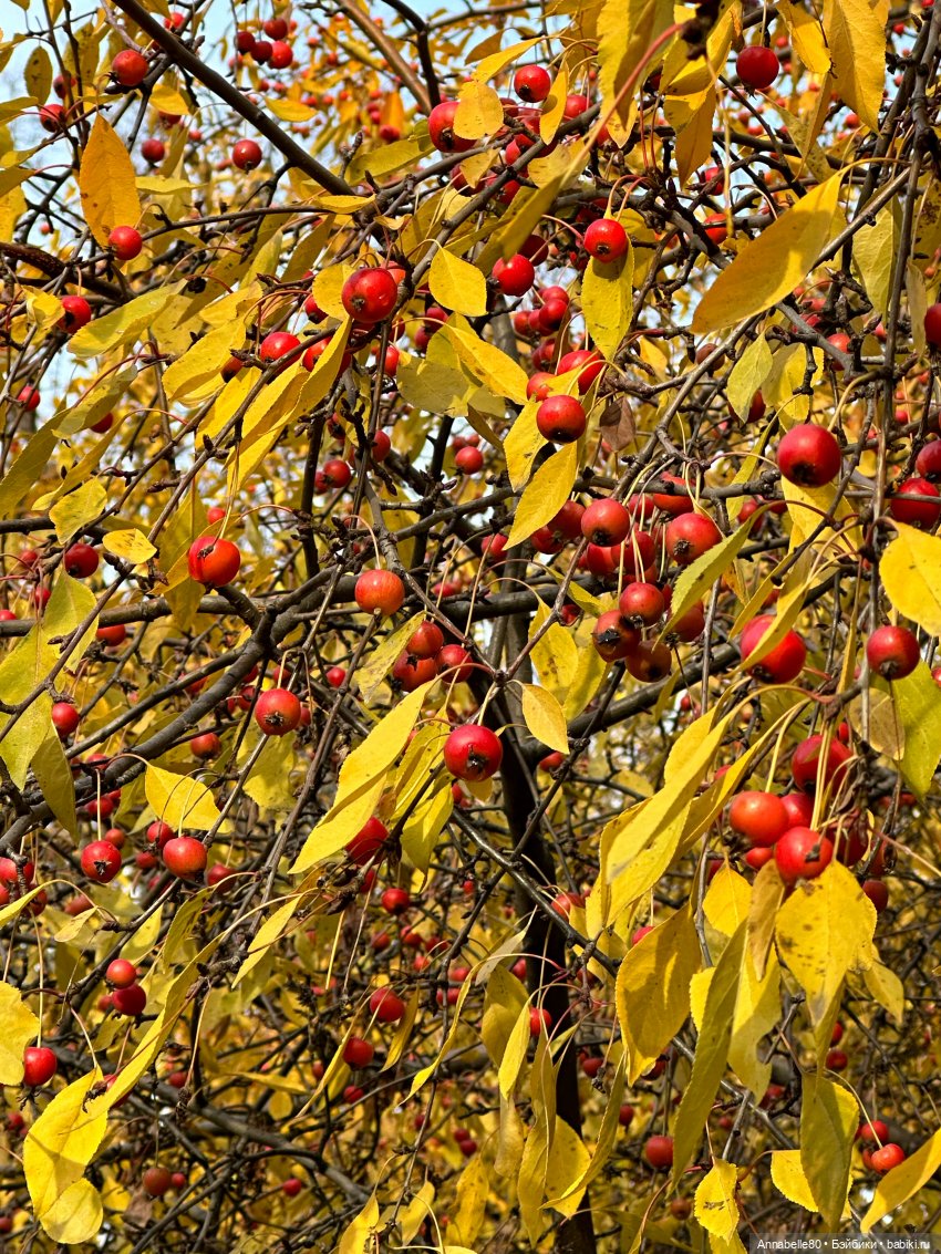 Где-то далеко летят поезда…