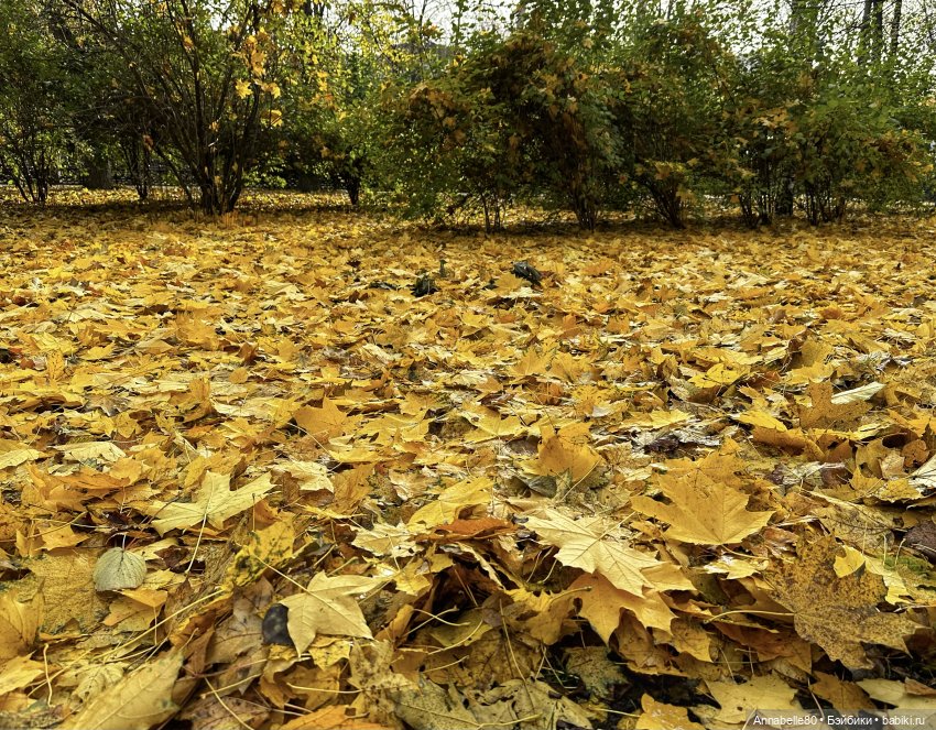 Где-то далеко летят поезда… (фото 9)