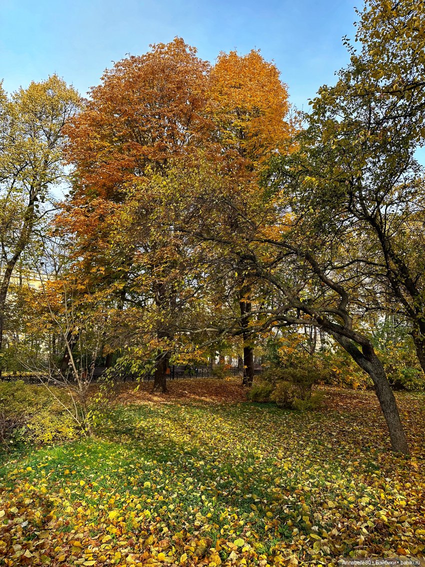 Где-то далеко летят поезда…