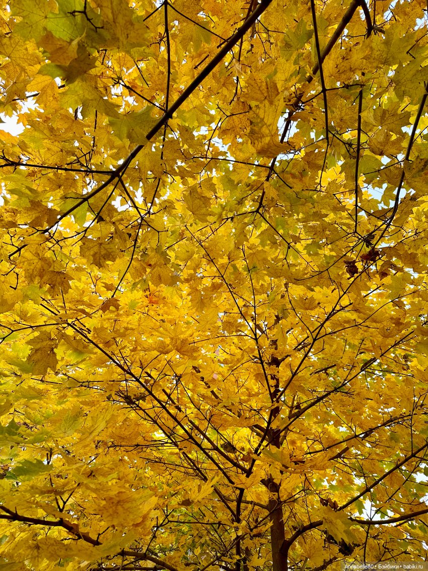 Где-то далеко летят поезда… (фото 4)