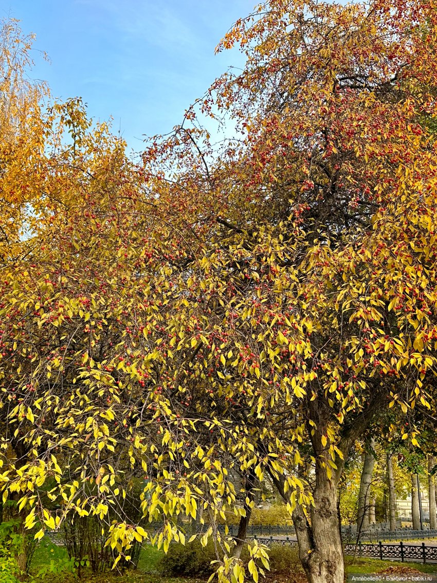 Где-то далеко летят поезда…