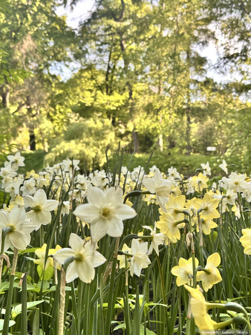 Кукловстреча по-нашему или новое хобби Мирославы