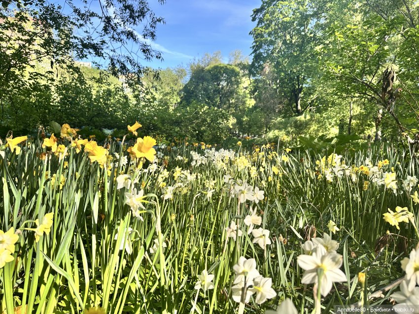 Кукловстреча по-нашему или новое хобби Мирославы
