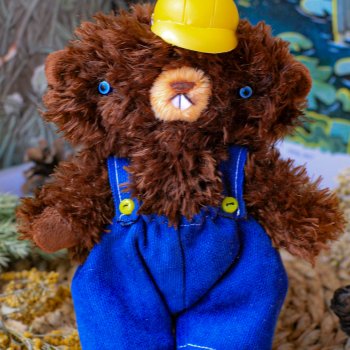 бобер Crazy Innokentiy - Holy Teddy