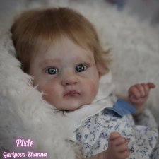 Реборн  Пикси