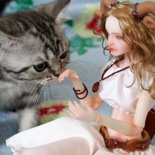 Авери нашла хозяйку