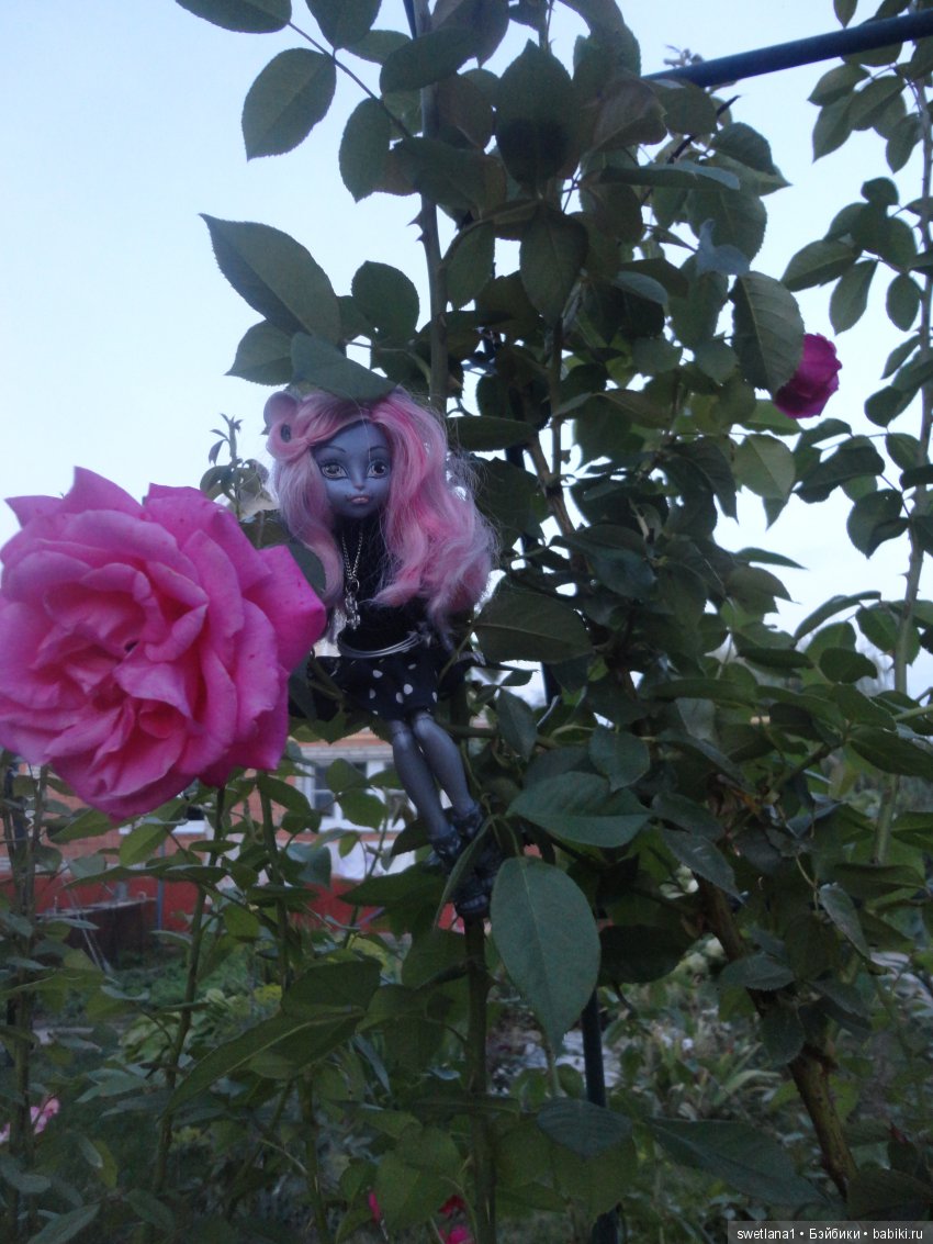 В клумбе мышка завелась — Куклы Monster High и Ever After High: G1 (фото 4)