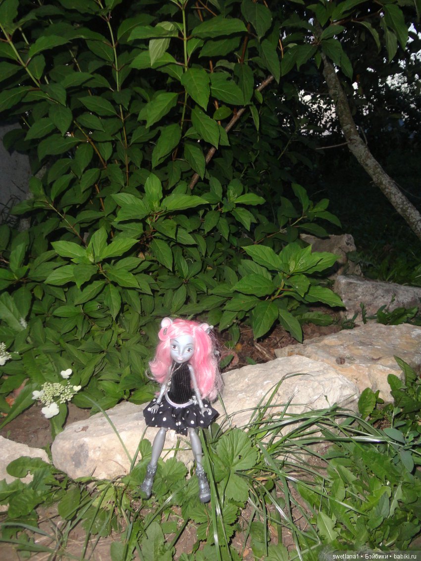 В клумбе мышка завелась — Куклы Monster High и Ever After High: G1 (фото 6)