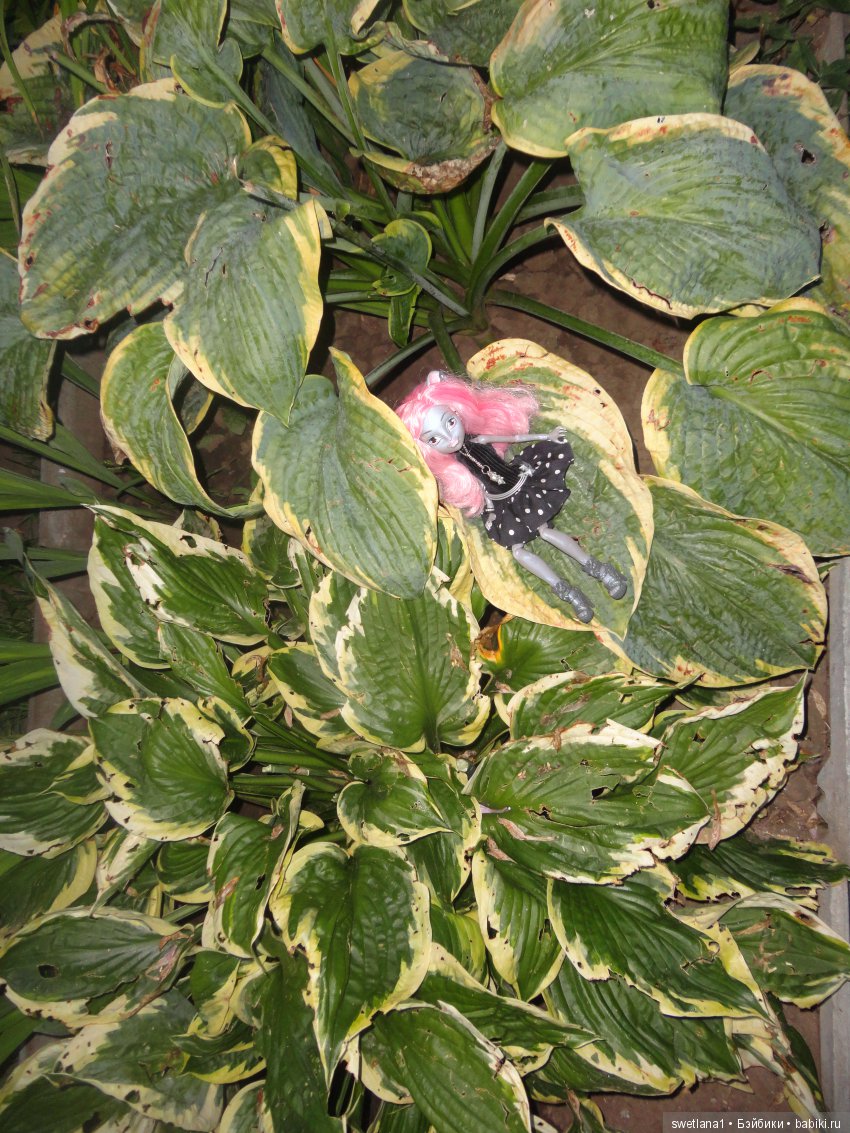 В клумбе мышка завелась — Куклы Monster High и Ever After High: G1 (фото 9)