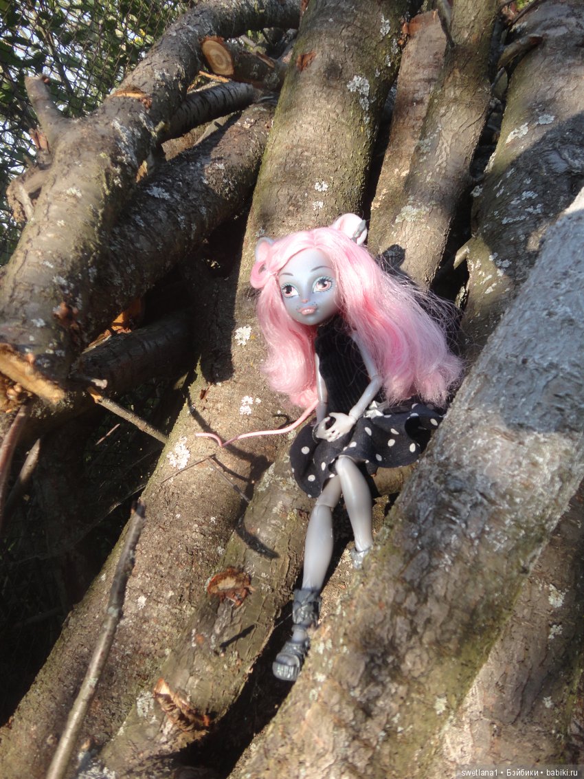 В клумбе мышка завелась — Куклы Monster High и Ever After High: G1