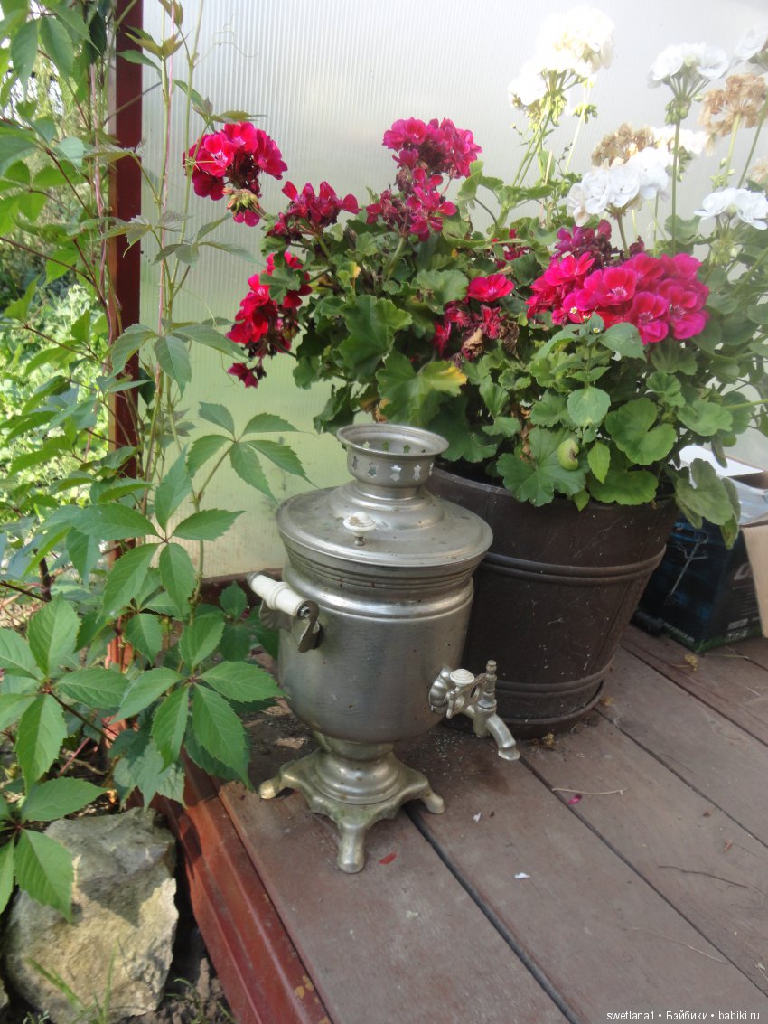 В клумбе мышка завелась — Куклы Monster High и Ever After High: G1 (фото 5)