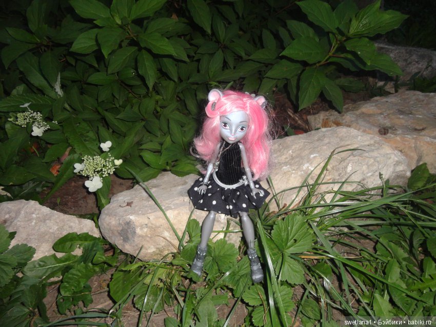 В клумбе мышка завелась — Куклы Monster High и Ever After High: G1 (фото 7)
