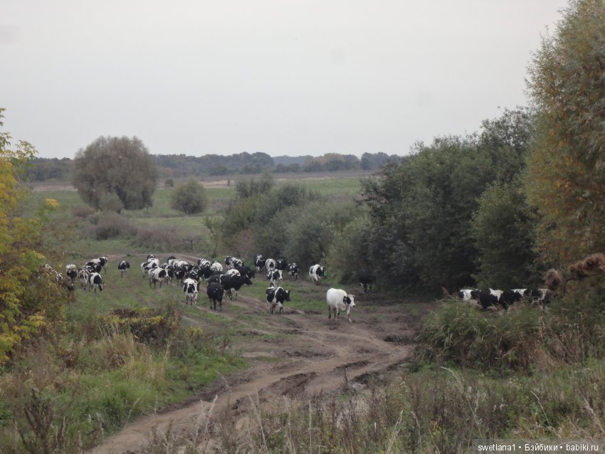Чудеснейшее место на земле