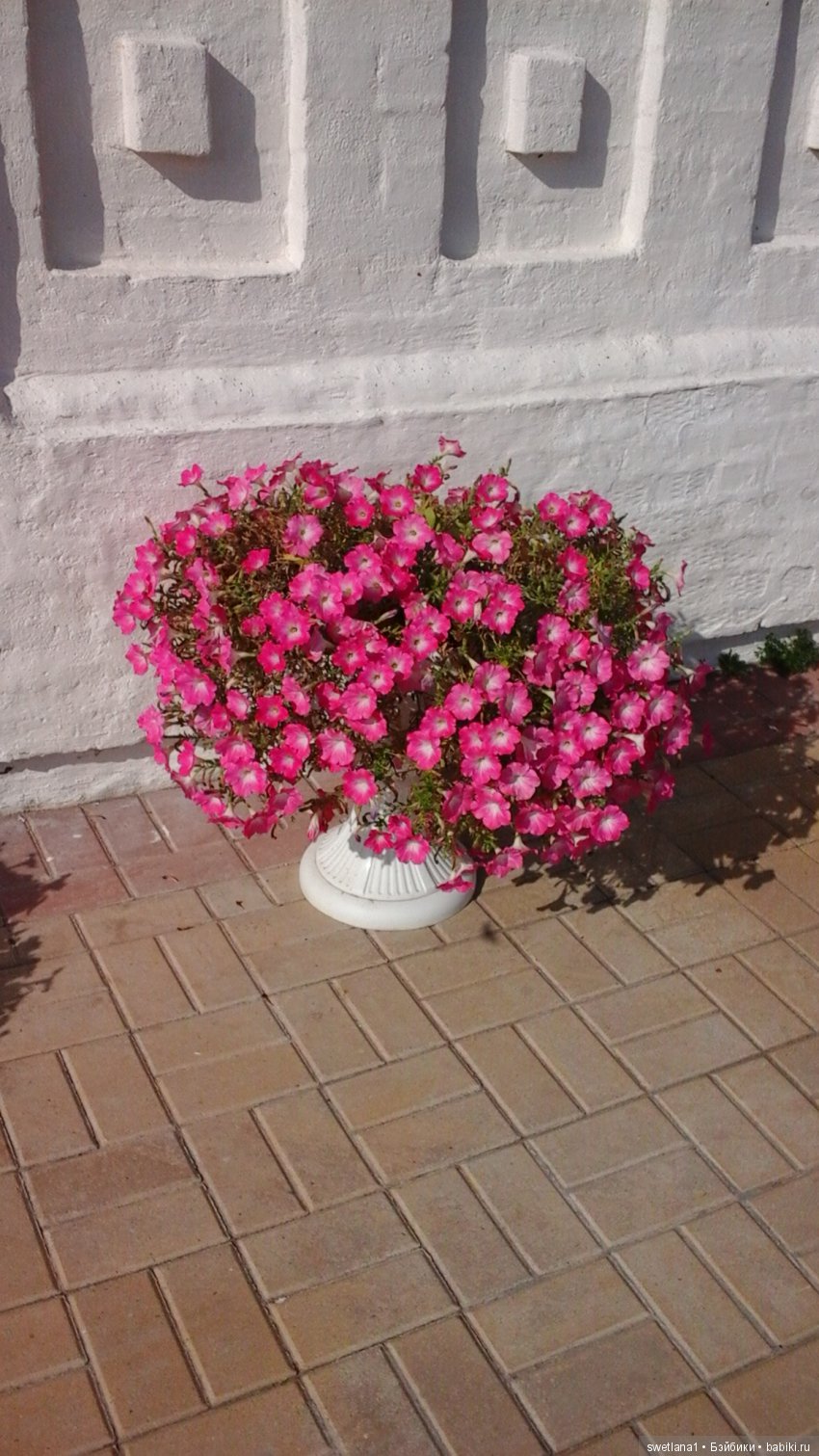 Чудеснейшее место на земле (фото 7)