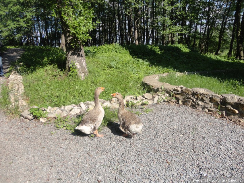 Чудеснейшее место на земле
