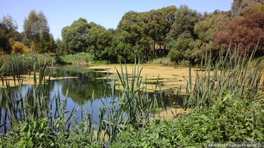 Чудеснейшее место на земле