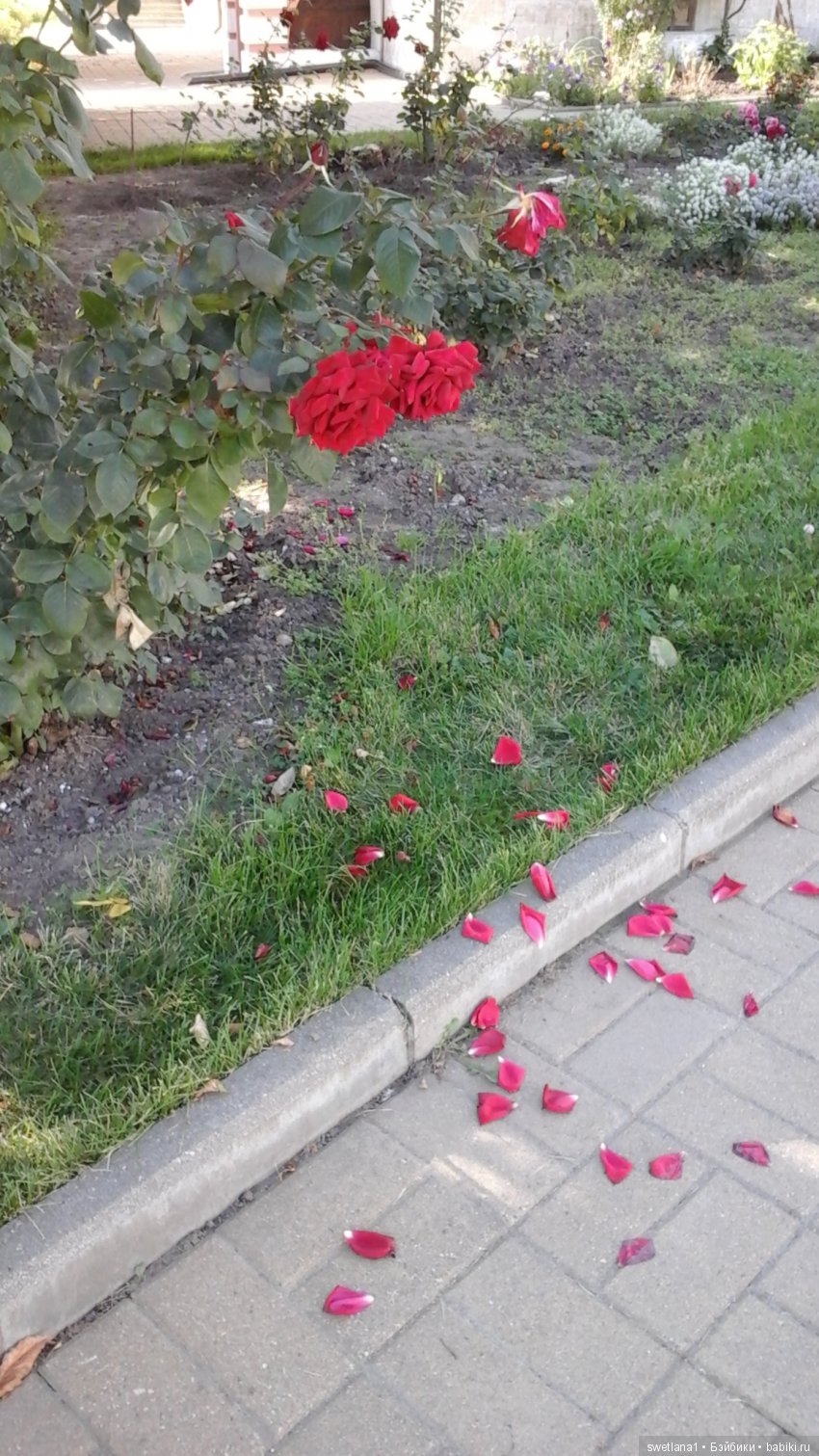 Чудеснейшее место на земле