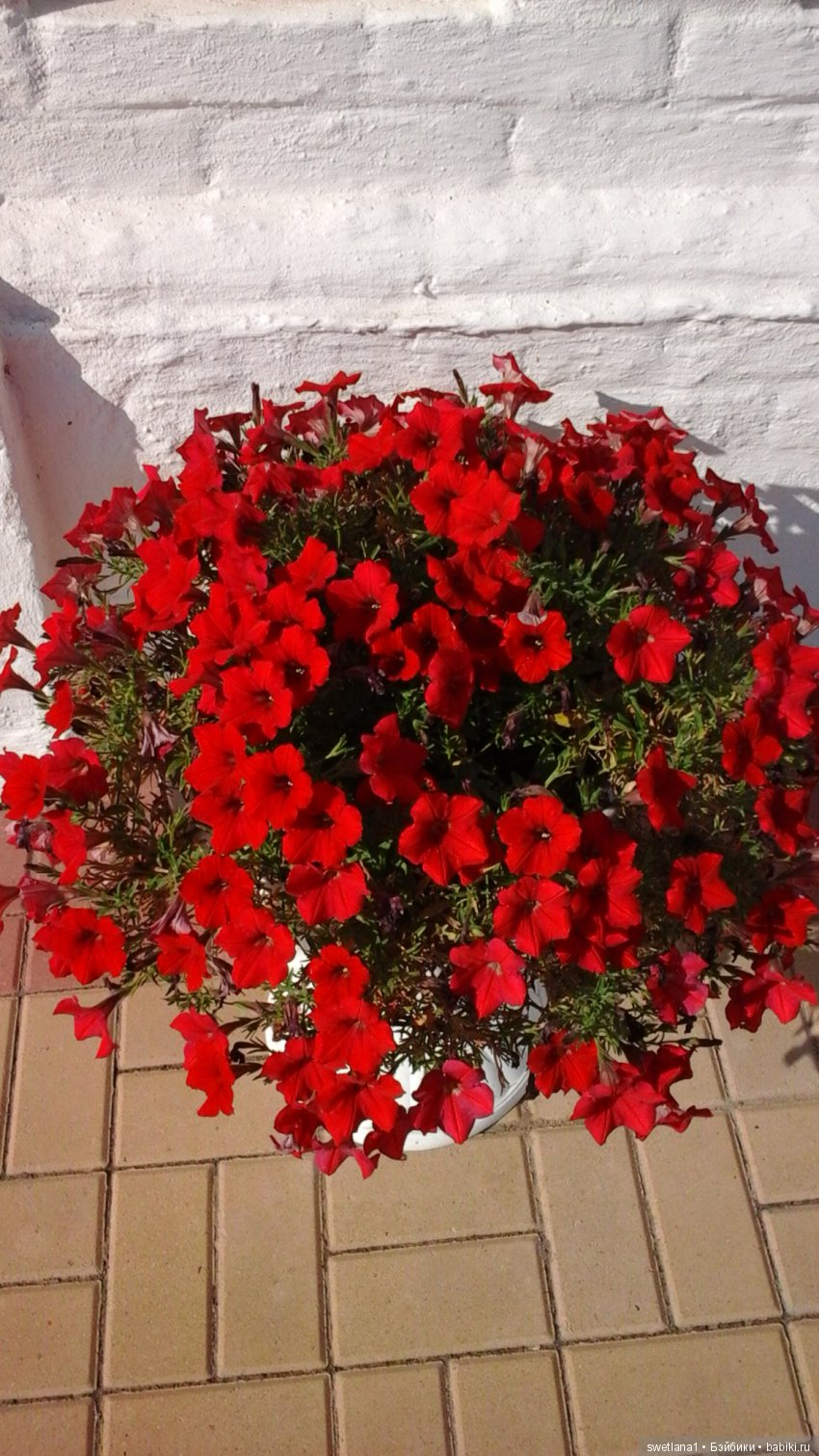 Чудеснейшее место на земле (фото 6)