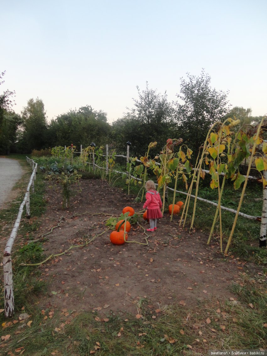 «По- осеннему шепчут листья…»