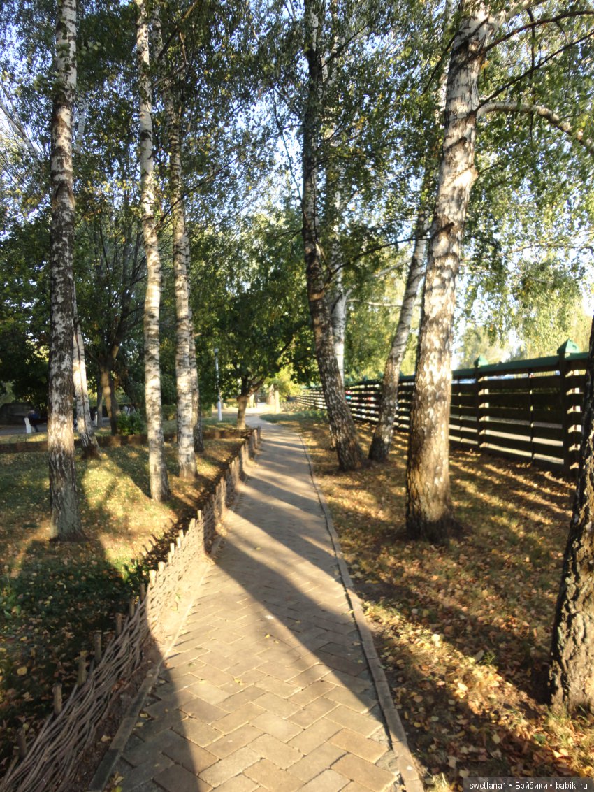 «По- осеннему шепчут листья…»