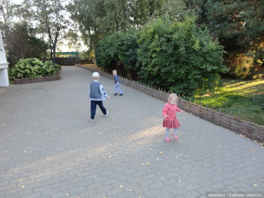 «По- осеннему шепчут листья…»