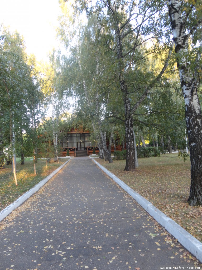 «По- осеннему шепчут листья…»