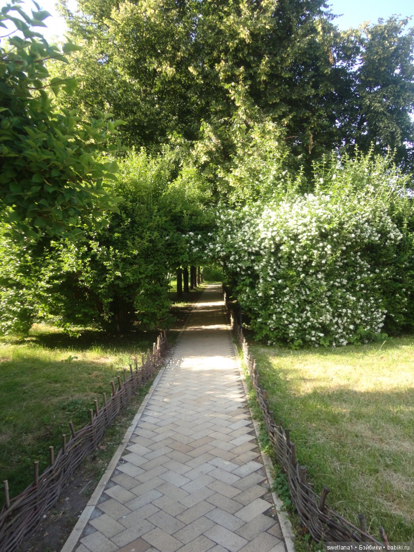 «По- осеннему шепчут листья…» (фото 2)