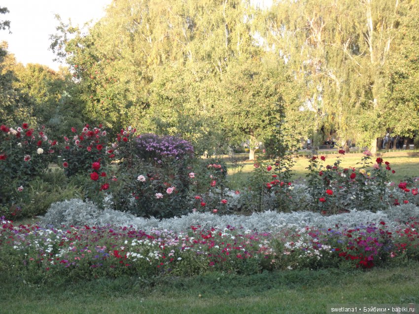 «По- осеннему шепчут листья…»