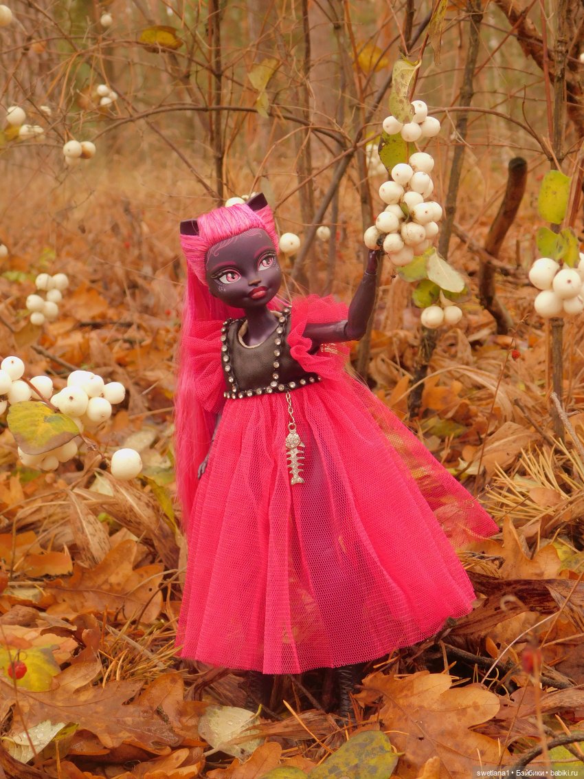 День черного Кота — Куклы Monster High и Ever After High: G1 (фото 4)