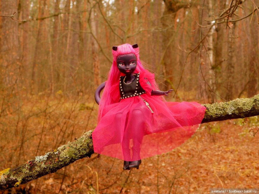 День черного Кота — Куклы Monster High и Ever After High: G1 (фото 6)