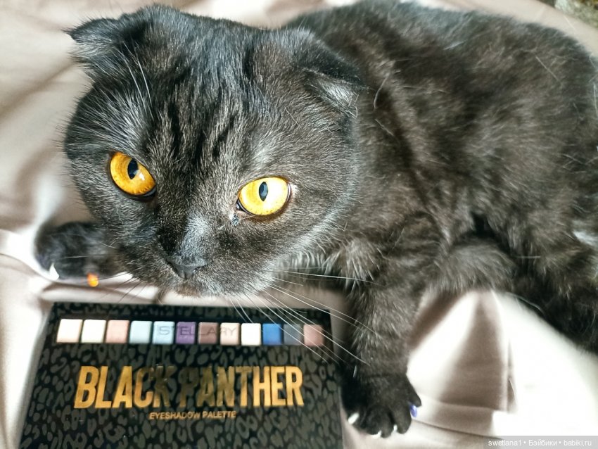 День черного Кота — Куклы Monster High и Ever After High: G1