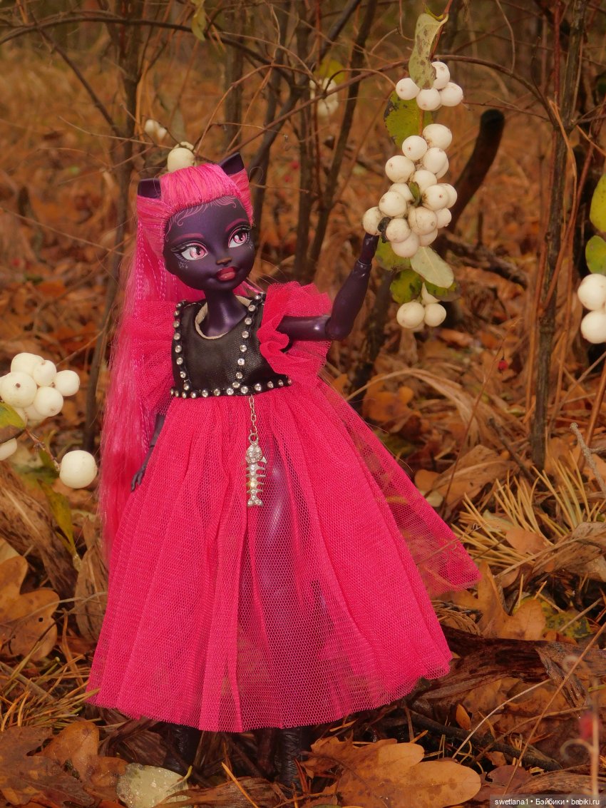 День черного Кота — Куклы Monster High и Ever After High: G1 (фото 5)