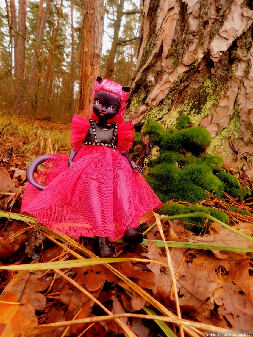 День черного Кота — Куклы Monster High и Ever After High: G1 (фото 8)