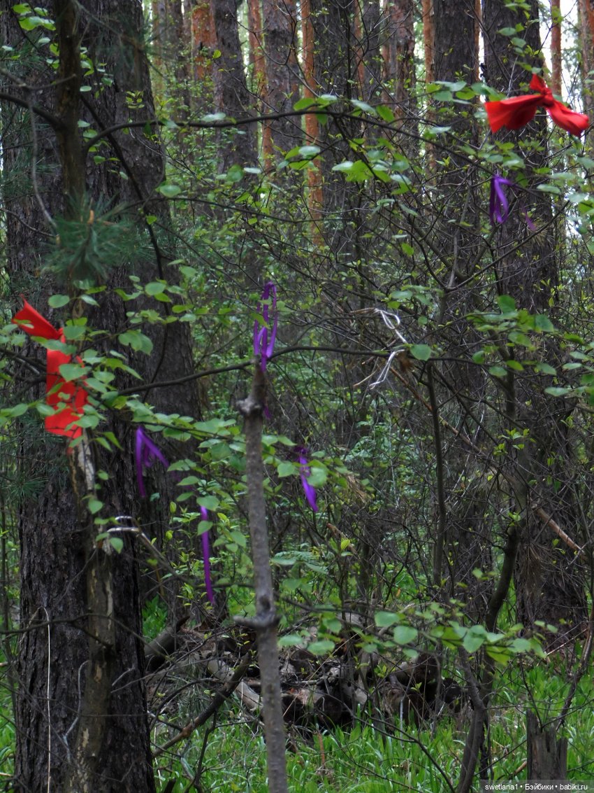 «Удольфские тайны» — Фэшн (фото 10)