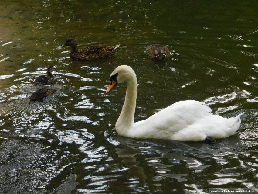 В некотором царстве — Туризм и путешествия: фотоотчеты из поездок