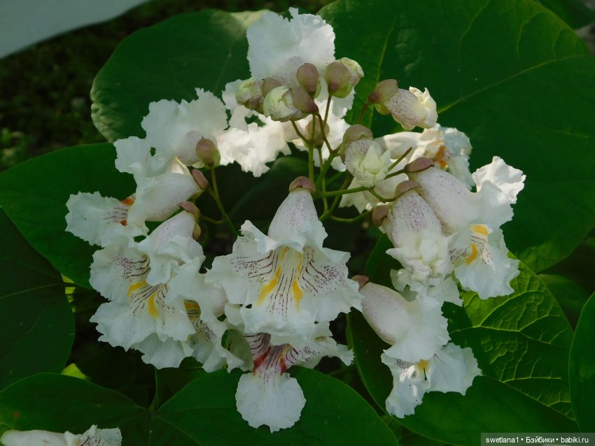 В некотором царстве — Туризм и путешествия: фотоотчеты из поездок