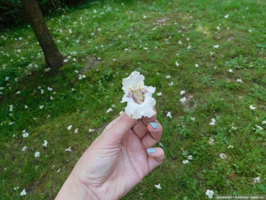 В некотором царстве — Туризм и путешествия: фотоотчеты из поездок