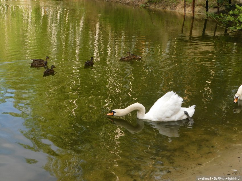 В некотором царстве — Туризм и путешествия: фотоотчеты из поездок