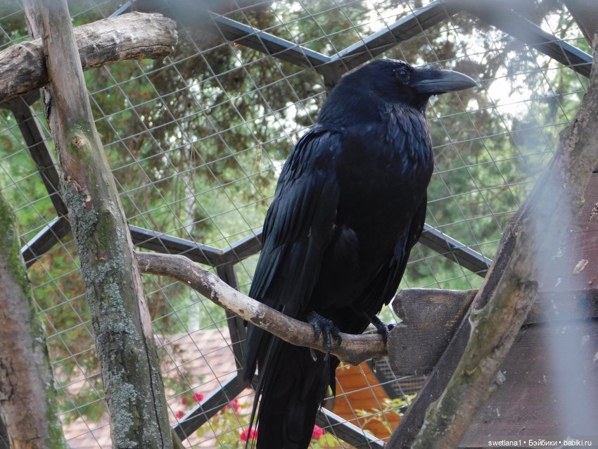 В некотором царстве — Туризм и путешествия: фотоотчеты из поездок