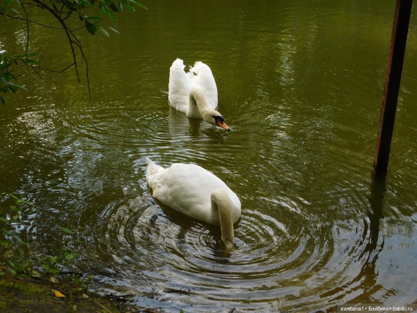 В некотором царстве — Туризм и путешествия: фотоотчеты из поездок