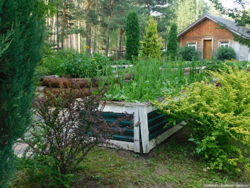 В некотором царстве — Туризм и путешествия: фотоотчеты из поездок