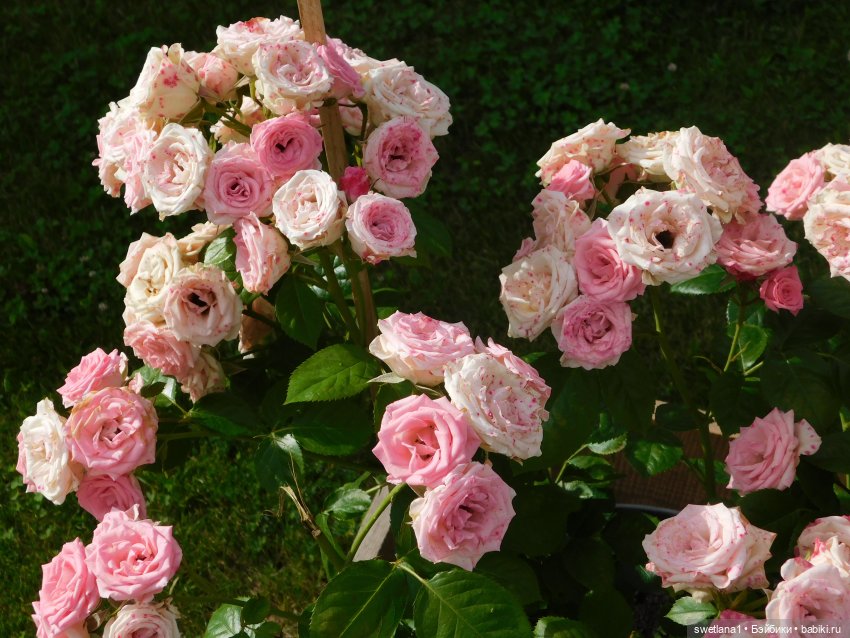 В некотором царстве — Туризм и путешествия: фотоотчеты из поездок