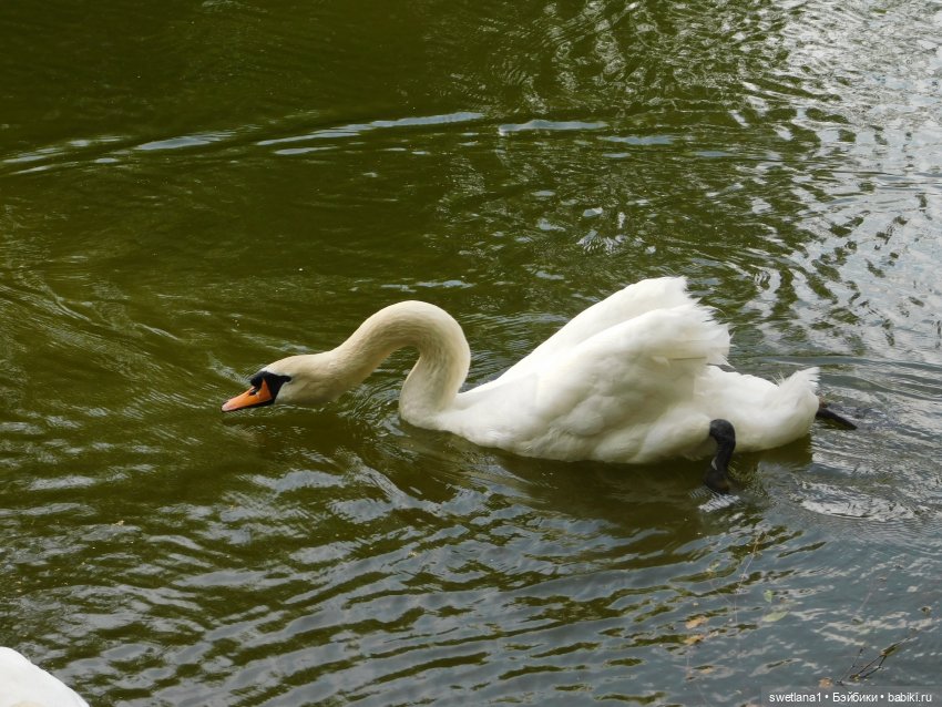 В некотором царстве — Туризм и путешествия: фотоотчеты из поездок