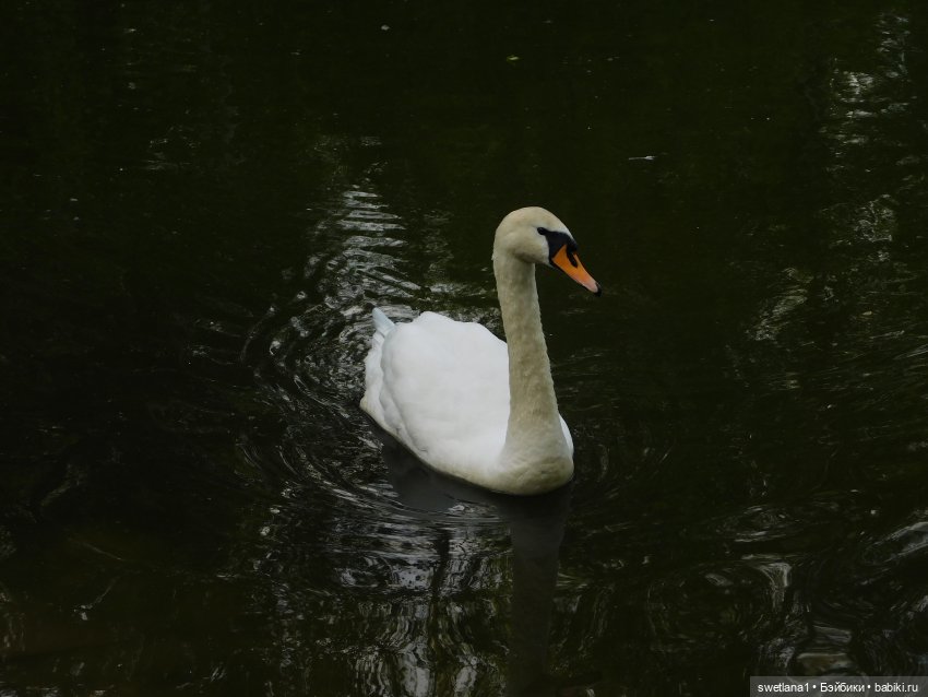 В некотором царстве — Туризм и путешествия: фотоотчеты из поездок