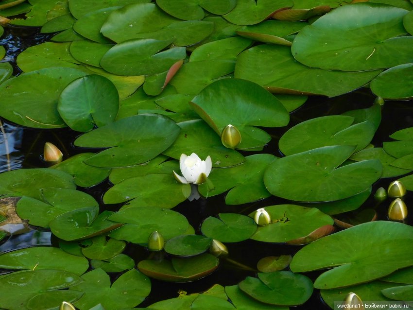 В некотором царстве — Туризм и путешествия: фотоотчеты из поездок