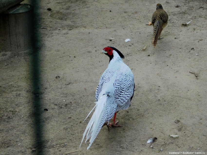 В некотором царстве — Туризм и путешествия: фотоотчеты из поездок