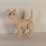 Котенок BJD
