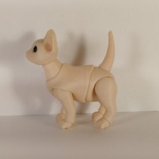 Котенок BJD