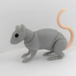 Крыса маленькая BJD