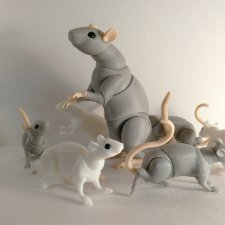 Мышиные истории